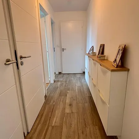 Appartamento With Terrace And Garden In Strasburgo